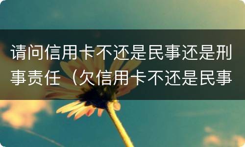 请问信用卡不还是民事还是刑事责任（欠信用卡不还是民事责任还是刑事）