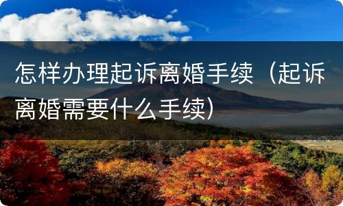 怎样办理起诉离婚手续（起诉离婚需要什么手续）
