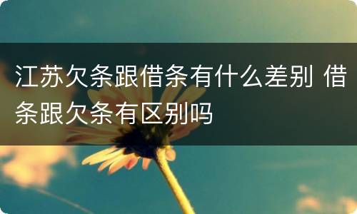 江苏欠条跟借条有什么差别 借条跟欠条有区别吗