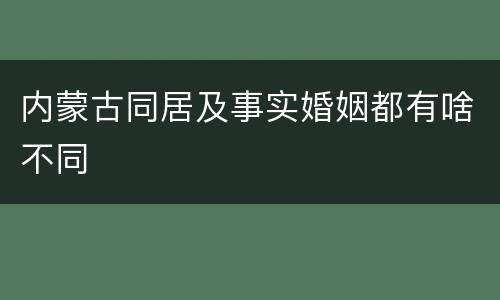 内蒙古同居及事实婚姻都有啥不同