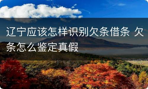 辽宁应该怎样识别欠条借条 欠条怎么鉴定真假
