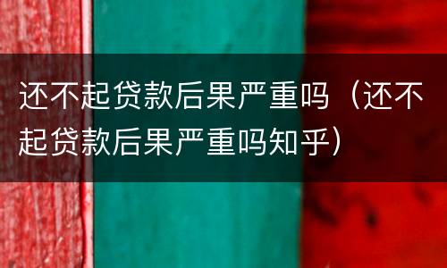 还不起贷款后果严重吗（还不起贷款后果严重吗知乎）