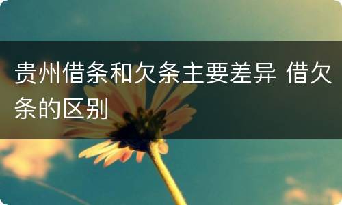 贵州借条和欠条主要差异 借欠条的区别