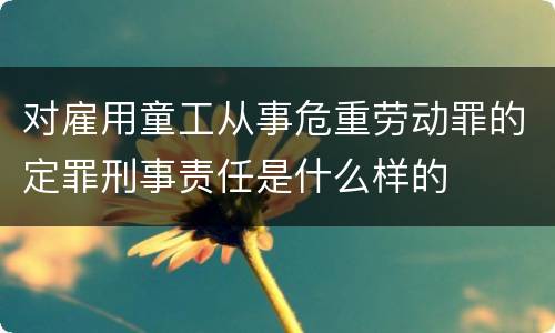 对雇用童工从事危重劳动罪的定罪刑事责任是什么样的