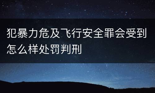 犯暴力危及飞行安全罪会受到怎么样处罚判刑