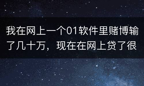 我在网上一个01软件里赌博输了几十万，现在在网上贷了很多网贷，还不起了，怎么办