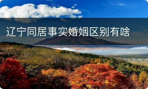 辽宁同居事实婚姻区别有啥