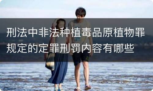 刑法中非法种植毒品原植物罪规定的定罪刑罚内容有哪些