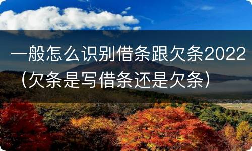 一般怎么识别借条跟欠条2022（欠条是写借条还是欠条）