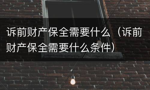 诉前财产保全需要什么（诉前财产保全需要什么条件）