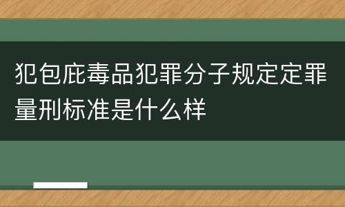 犯包庇毒品犯罪分子规定定罪量刑标准是什么样