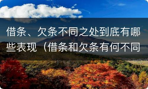 借条、欠条不同之处到底有哪些表现（借条和欠条有何不同）