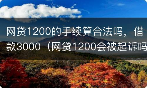 网贷1200的手续算合法吗，借款3000（网贷1200会被起诉吗）
