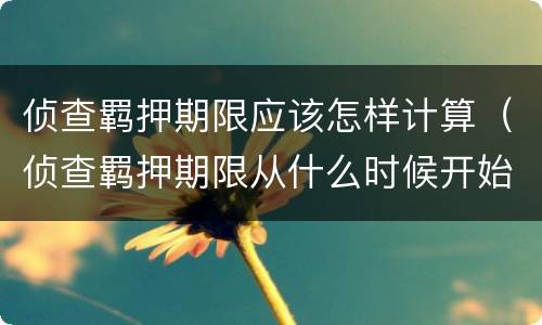 侦查羁押期限应该怎样计算（侦查羁押期限从什么时候开始计算）