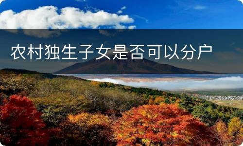 农村独生子女是否可以分户
