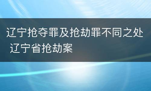 辽宁抢夺罪及抢劫罪不同之处 辽宁省抢劫案