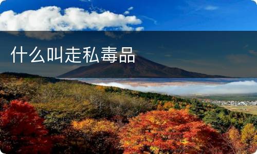 什么叫走私毒品