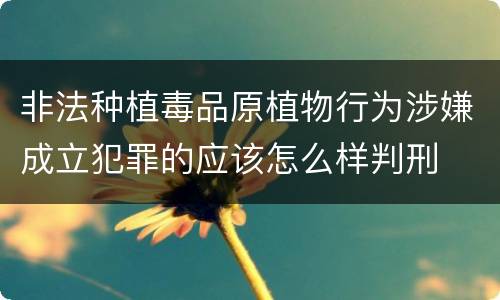 非法种植毒品原植物行为涉嫌成立犯罪的应该怎么样判刑