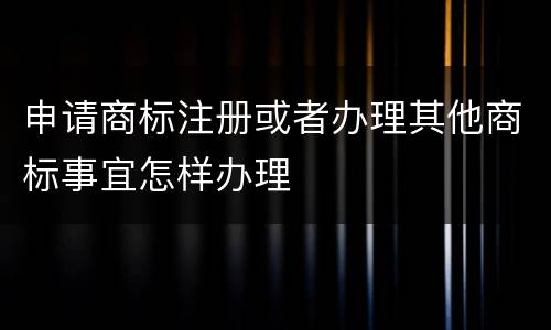 申请商标注册或者办理其他商标事宜怎样办理