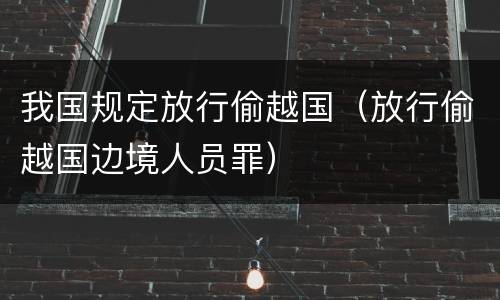 我国规定放行偷越国（放行偷越国边境人员罪）