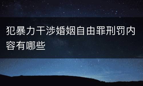 犯暴力干涉婚姻自由罪刑罚内容有哪些