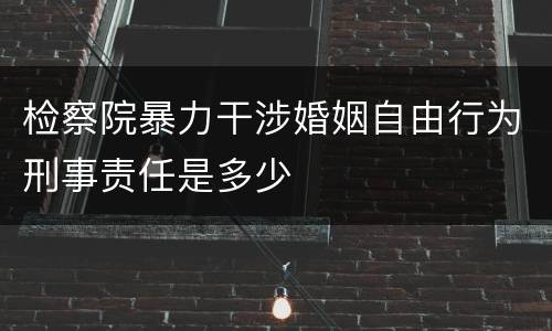 检察院暴力干涉婚姻自由行为刑事责任是多少