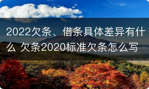 2022欠条、借条具体差异有什么 欠条2020标准欠条怎么写