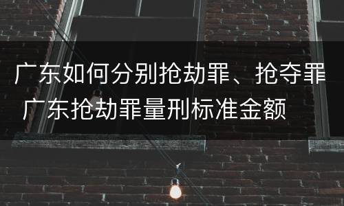 广东如何分别抢劫罪、抢夺罪 广东抢劫罪量刑标准金额