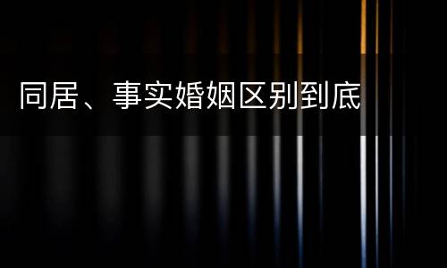 同居、事实婚姻区别到底