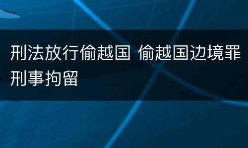刑法放行偷越国 偷越国边境罪刑事拘留