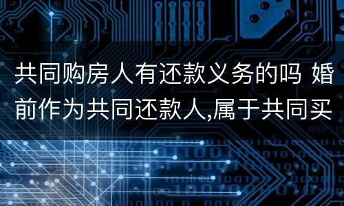 共同购房人有还款义务的吗 婚前作为共同还款人,属于共同买房吗