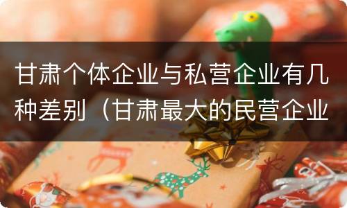 甘肃个体企业与私营企业有几种差别（甘肃最大的民营企业）