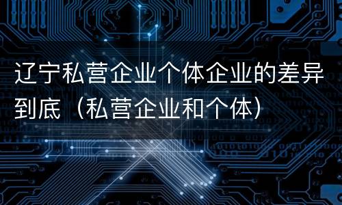 辽宁私营企业个体企业的差异到底（私营企业和个体）