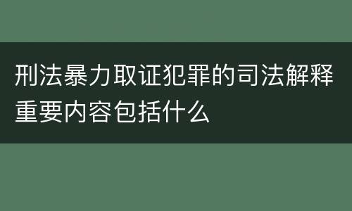 刑法暴力取证犯罪的司法解释重要内容包括什么