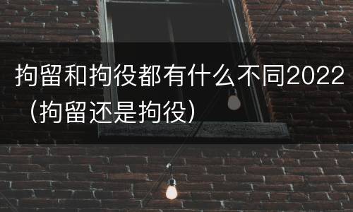 拘留和拘役都有什么不同2022（拘留还是拘役）