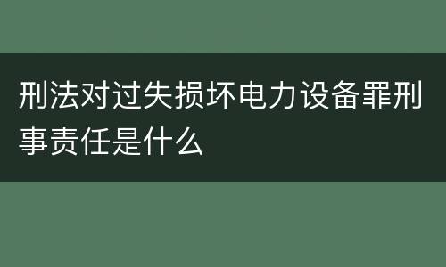 刑法对过失损坏电力设备罪刑事责任是什么
