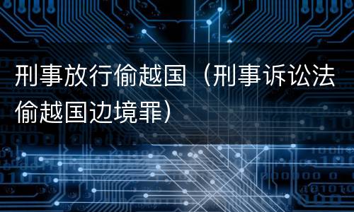 刑事放行偷越国（刑事诉讼法偷越国边境罪）