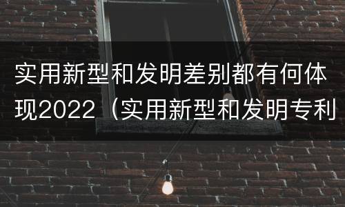 实用新型和发明差别都有何体现2022（实用新型和发明专利举例）
