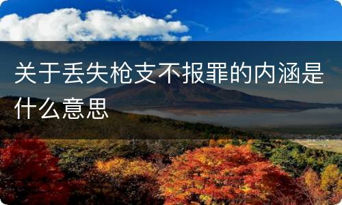 关于丢失枪支不报罪的内涵是什么意思