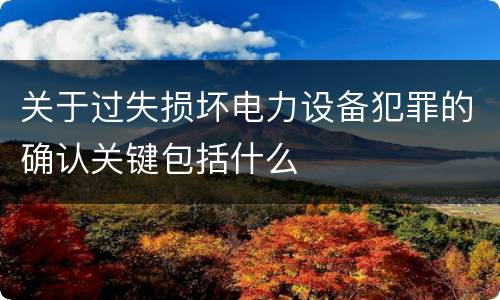 关于过失损坏电力设备犯罪的确认关键包括什么