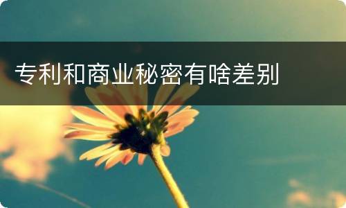 专利和商业秘密有啥差别