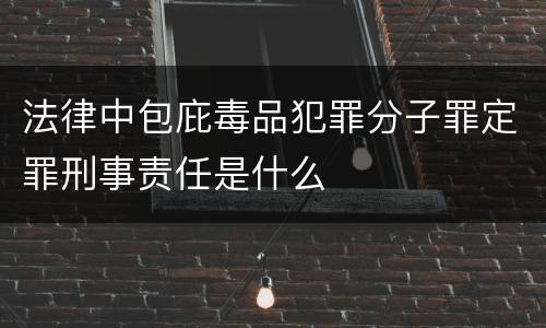 法律中包庇毒品犯罪分子罪定罪刑事责任是什么