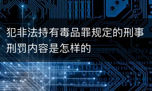 犯非法持有毒品罪规定的刑事刑罚内容是怎样的