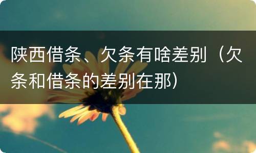 陕西借条、欠条有啥差别（欠条和借条的差别在那）