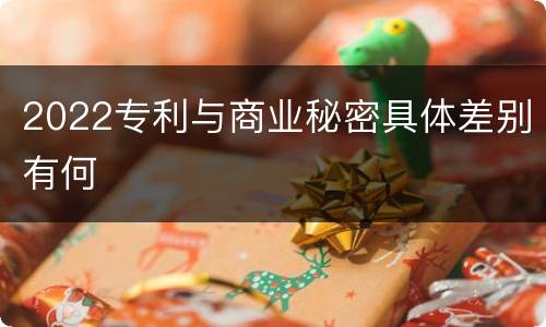 2022专利与商业秘密具体差别有何
