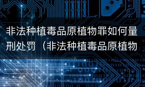 非法种植毒品原植物罪如何量刑处罚（非法种植毒品原植物罪量刑标准）