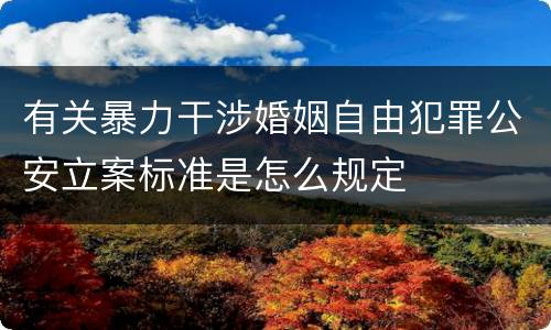 有关暴力干涉婚姻自由犯罪公安立案标准是怎么规定