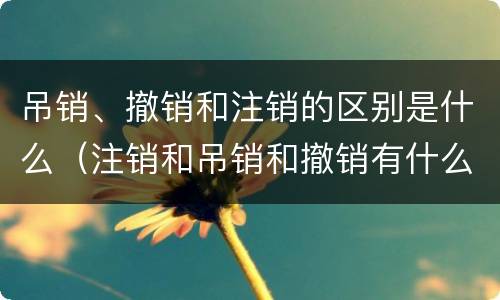 吊销、撤销和注销的区别是什么（注销和吊销和撤销有什么区别）