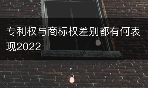 专利权与商标权差别都有何表现2022