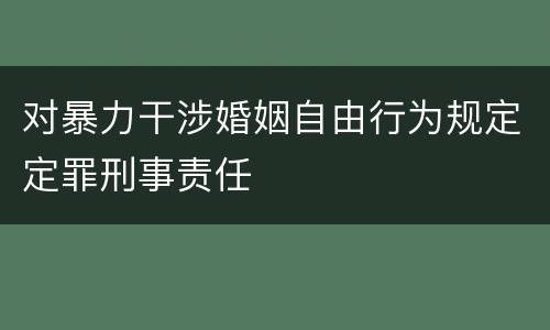对暴力干涉婚姻自由行为规定定罪刑事责任